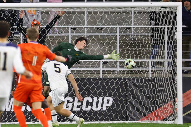 这种体系下 这种体系下